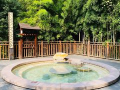 -天目湖涵田半山温泉
