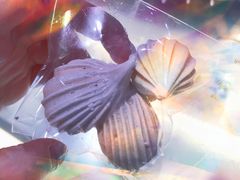 -甜莺蛋糕(顺盈时代广场店)