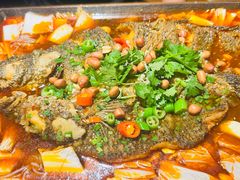 -眼镜哥浦江夜宵大本营