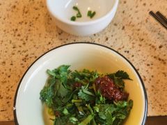 -杨记山珍鸡煲菌汤锅