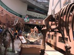 -陕西自然博物馆