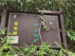 -井空里大峡谷