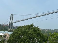 -西霞口神雕山野生动物世界