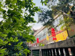 -仙岳公园