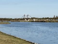 -春花秋色城市公园