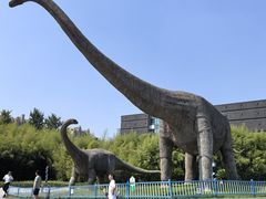 -安徽省地质博物馆