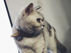 -研途咖啡馆(健康路店)