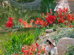 -人民公园(罗湖区)