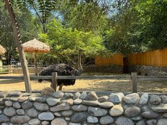 -北京野生动物园