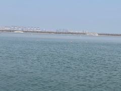 -南湖国家城市湿地公园