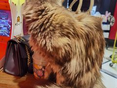 -猫色咖啡·猫咖