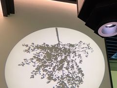 -大榕树下顺德菜(融创茂店)