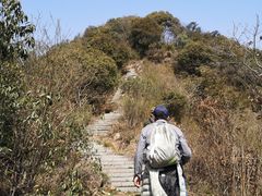 -午潮山国家森林公园