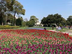 -上海鲜花港