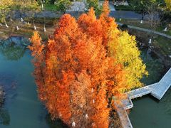 -白塘生态植物园