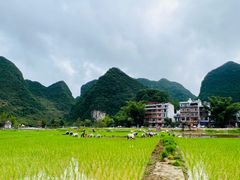 -靖西鹅泉风景区