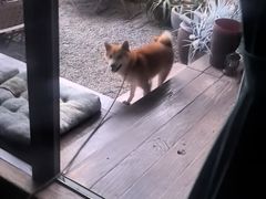-FUNFUN有饭花园聚会餐厅