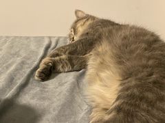 -四季民福烤鸭店(前门店)