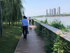 -长白岛森林公园