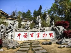 -贵州百里杜鹃风景名胜区