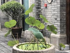-糖房咖啡(南锣鼓巷店)