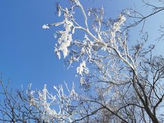 -沈阳奥体冰雪嘉年华