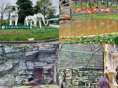-贵州森林野生动物园