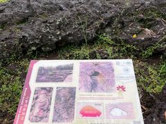 -海口火山口国家地质公园