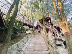 -巴倒烫陆派火锅山庄(南山总店)