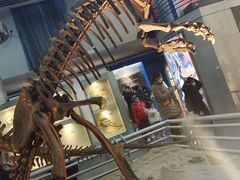 -国家自然博物馆