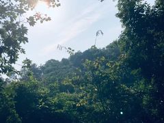 -火炉山森林公园