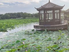 -卧龙湖