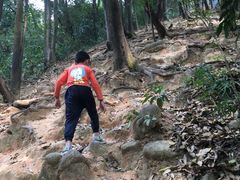 -火炉山森林公园