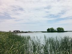 -苏州太湖湖滨国家湿地公园