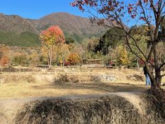-塔川景区