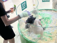 -大连圣亚海洋世界