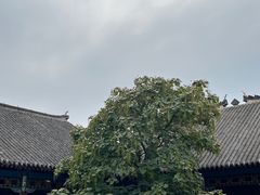 -张学良旧居陈列馆
