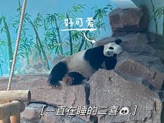 -济南野生动物世界