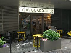 门面-油梨树 AVOCADO TREE(亮马桥店)