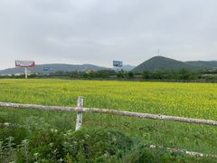 -大连铭湖国际观光牧场