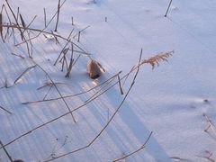 -楼外楼大刀肉传统火锅居(幸福街店)