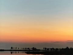 -合肥滨湖国家森林公园