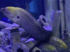 -成都浩海立方海洋公园