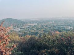 -上海佘山国家森林公园西佘山园