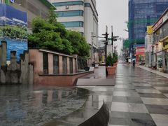 -宝健路步行街(Pedestrian Shopping Street)
