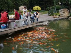 景点-广州珠江公园