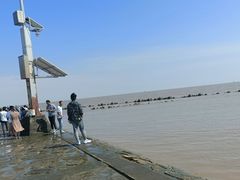 -碧海金沙