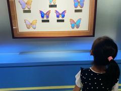 -上海昆虫博物馆