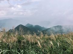 -东白山