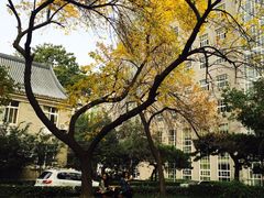 -中央民族大学